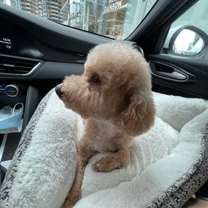 Meet your Posher, Crystal